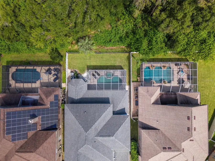 11621 Renaissance View Court, Tampa, FL 33626 - #3