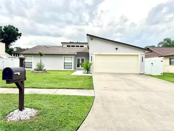 4717 Deerwalk Avenue, TAMPA, FL 33624