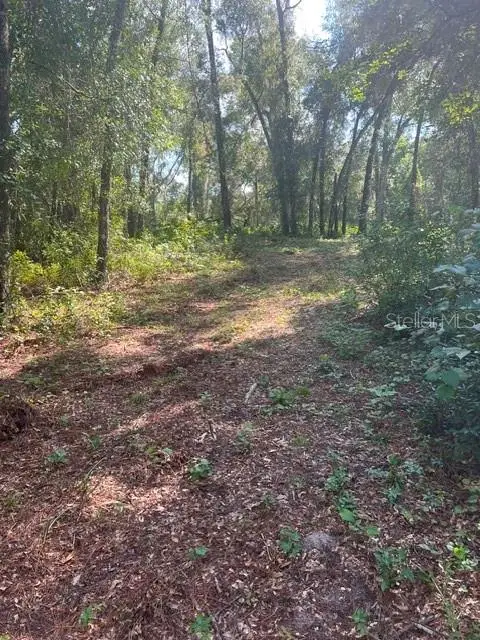 Elaine Drive, Webster, FL 33597 - #1