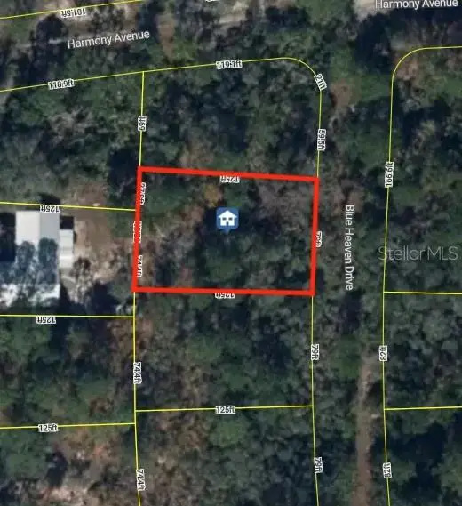 236 Blue Heaven Drive, Lake Placid, FL 33852 - #2