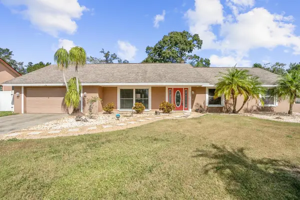 4502 Mohican Trail, VALRICO, FL 33594