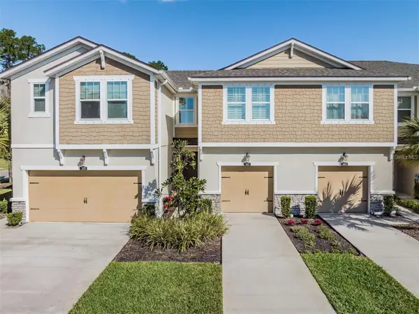5527 Cumberland Star Court, LUTZ, FL 33558