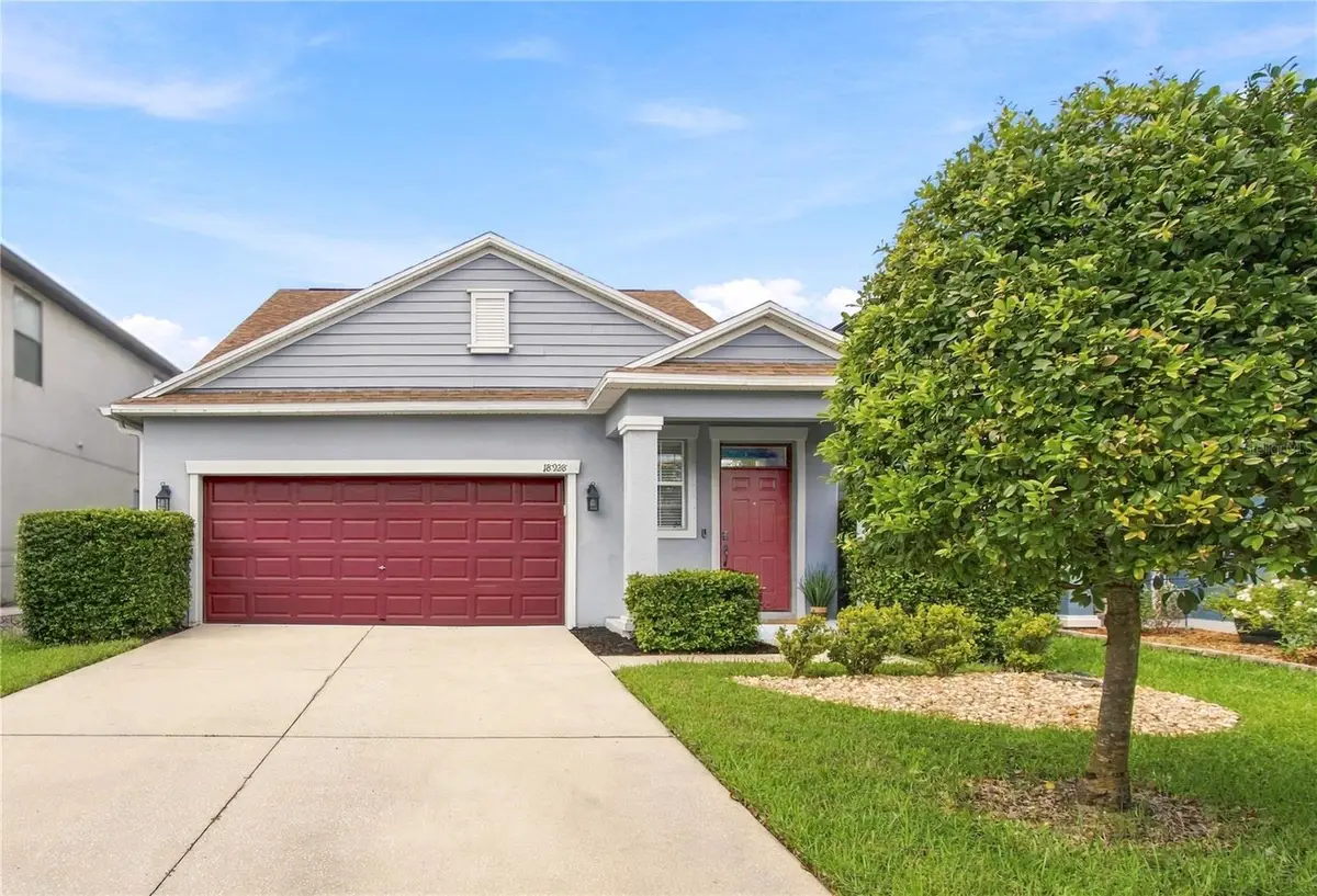 18928 Hampstead Heath Court, Land O Lakes, FL 34638 - #1