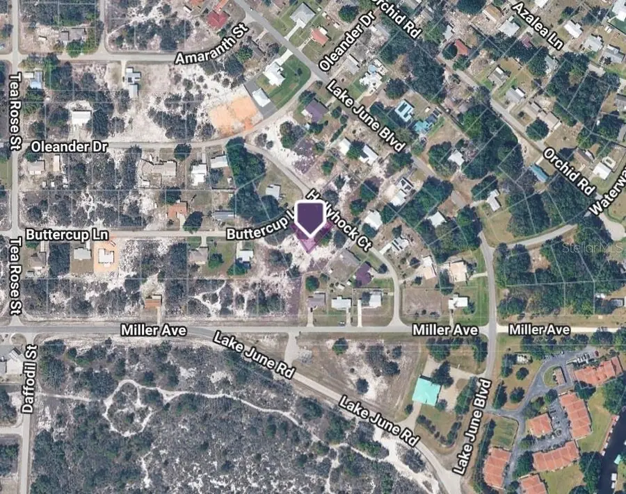 3022 Buttercup Lane, Lake Placid, FL 33852 - #2