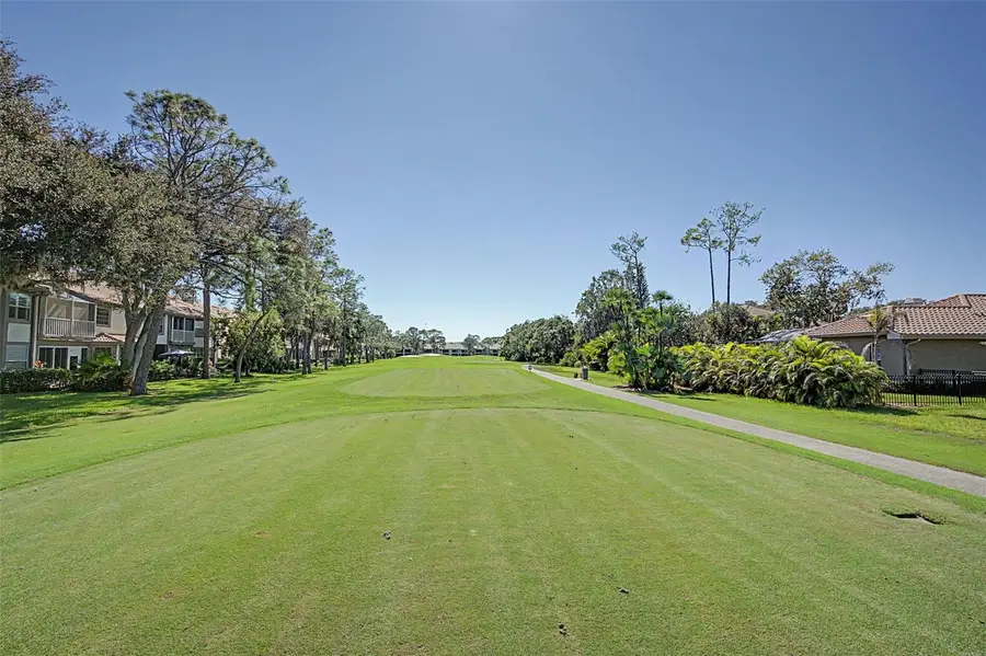 1290 Clays Trail #1403, Oldsmar, FL 34677 - #2