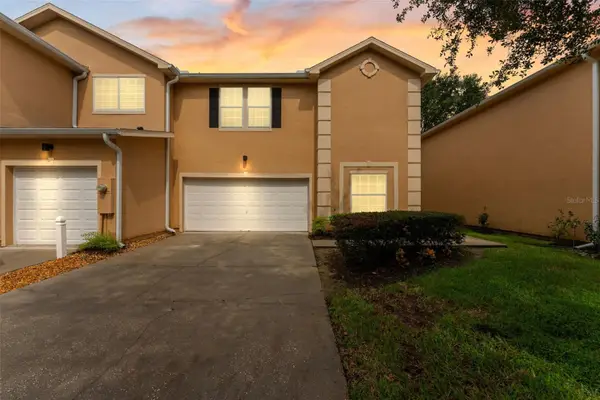 16309 Newbury Palms Court, TAMPA, FL 33647