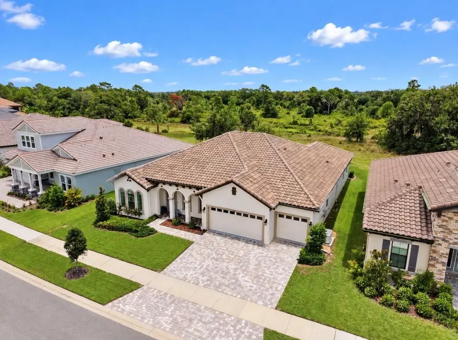 14537 Swiss Bridge Drive, Lithia, FL 33547 - #3