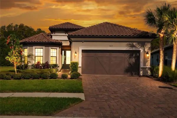 10813 Calluna Drive, ODESSA, FL 33556