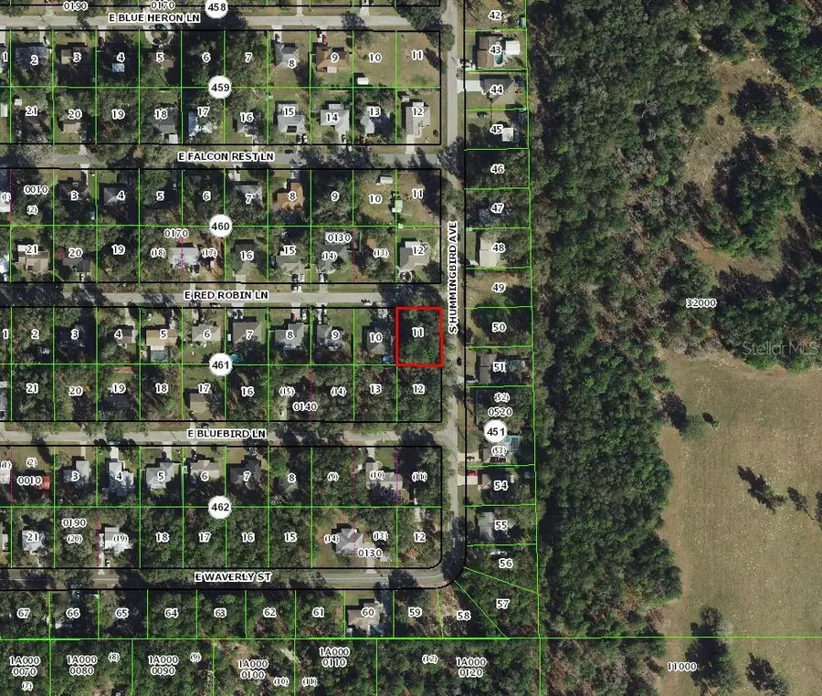 6856 E Red Robin Lane, Inverness, FL 34452 - #3