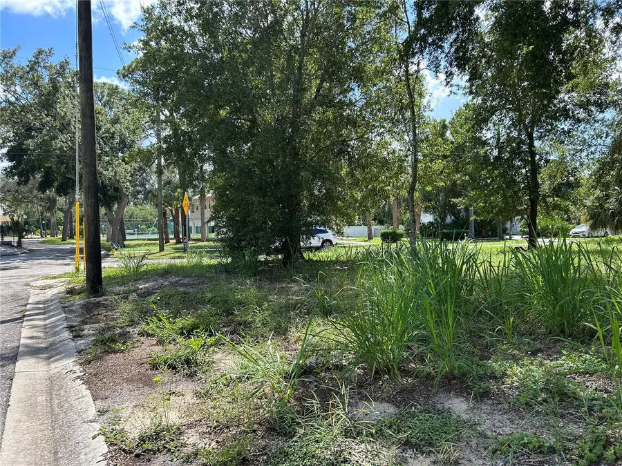 Ventnor Avenue, Tarpon Springs, FL 34689 - #3