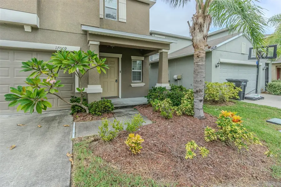 17009 Peaceful Valley Drive, Wimauma, FL 33598 - #3