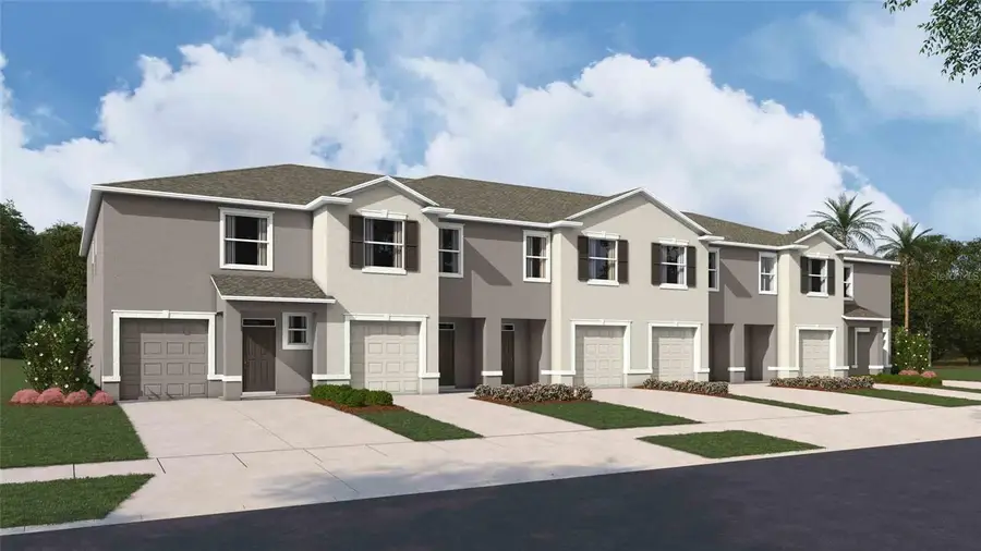 31209 Paper Birch Street, Wesley Chapel, FL 33545 - #3