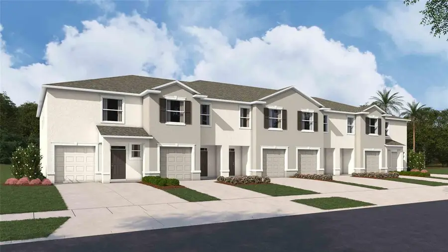 31201 Paper Birch Street, Wesley Chapel, FL 33545 - #2