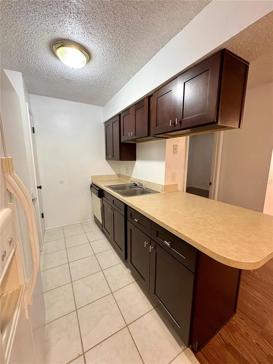 231 Red Maple Place, Brandon, FL 33510 - #3
