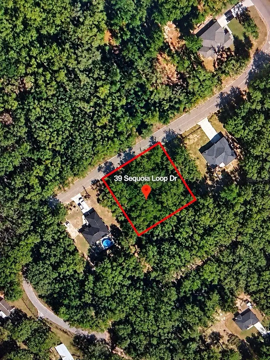Lot 39 SE Sequoia Loop Drive, Ocklawaha, FL 32179 - #1