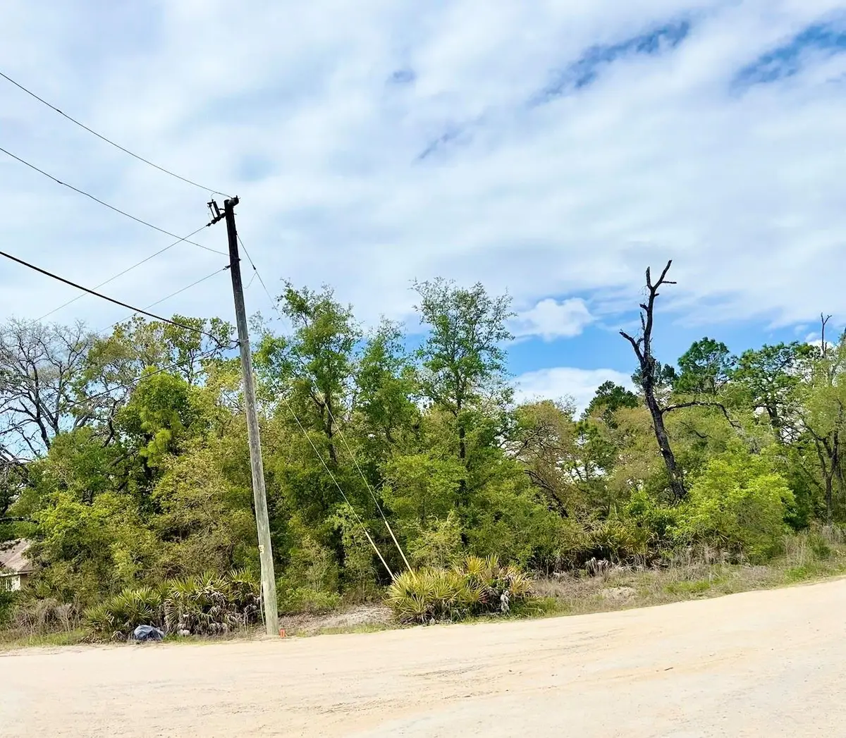 Mountain Mockingbird Road, Weeki Wachee, FL 34614 - #1