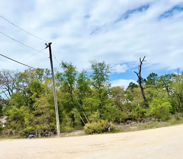 Mountain Mockingbird Road, WEEKI WACHEE, FL 34614