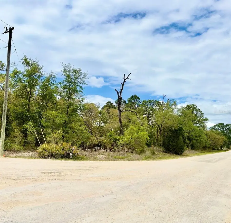 Mountain Mockingbird Road, Weeki Wachee, FL 34614 - #2