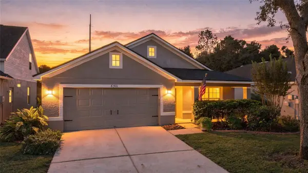 6501 Bridgecrest Drive, LITHIA, FL 33547