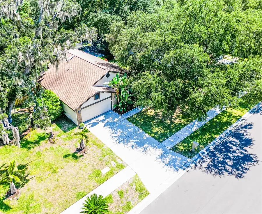 567 Deer Run N, Palm Harbor, FL 34684 - #3