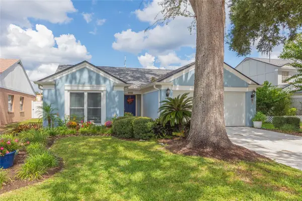 4932 Cypress Trace Drive, TAMPA, FL 33624