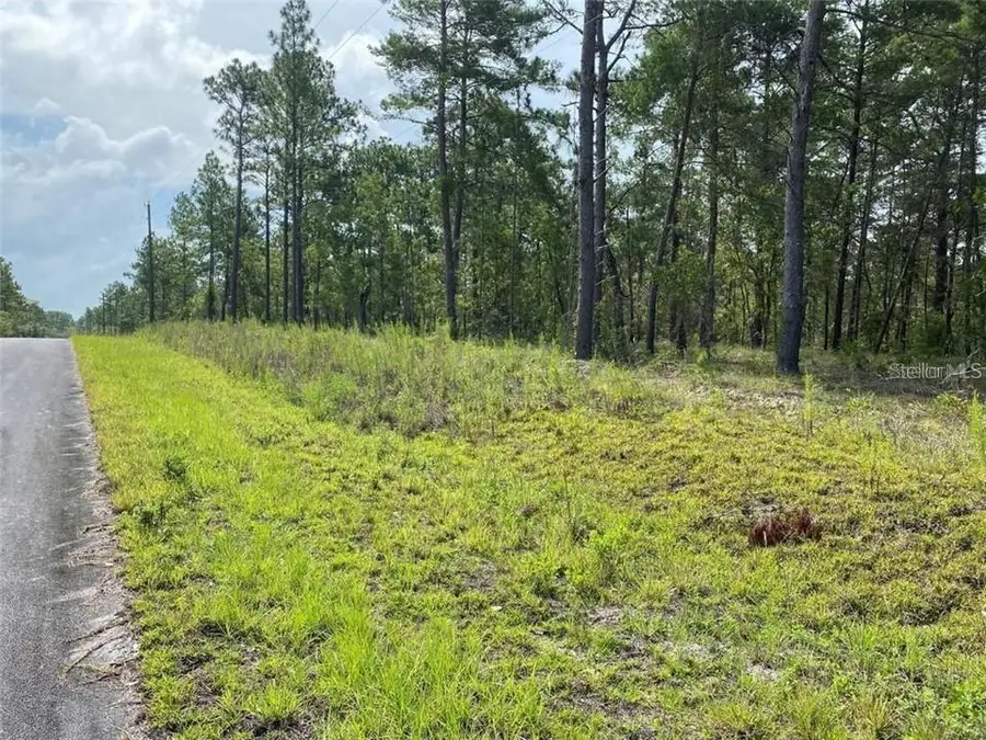 00 NW Geranium Avenue, Dunnellon, FL 34431 - #2
