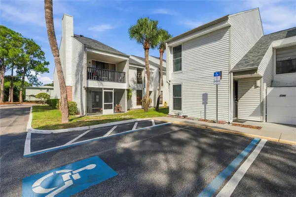 738 Haven Place, TARPON SPRINGS, FL 34689