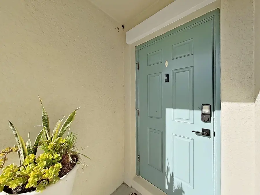 5037 White Chicory Drive, Apollo Beach, FL 33572 - #3