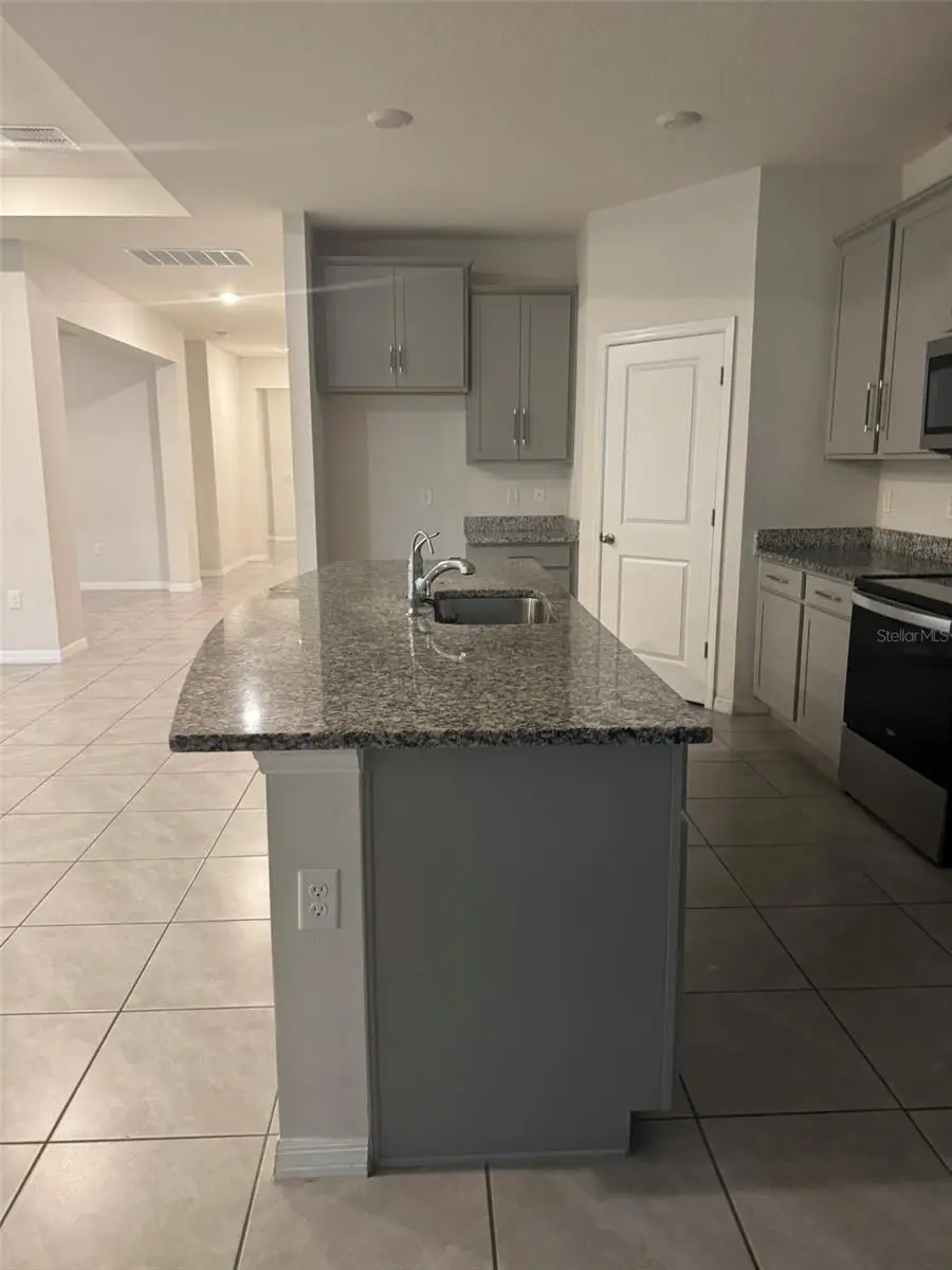 12463 Shining Willow Street, Riverview, FL 33579 - #2