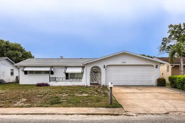 7230 Bimini Drive, PORT RICHEY, FL 34668