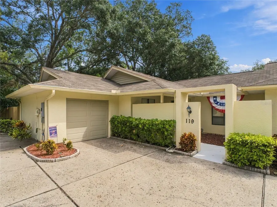 119 Parkside Colony Drive, Tarpon Springs, FL 34689 - #3