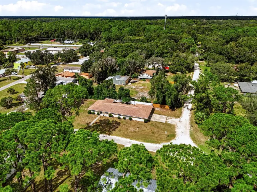 12394 SE 139th Avenue, Ocklawaha, FL 32179 - #2