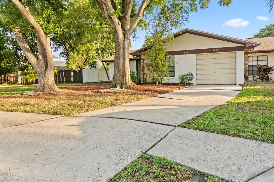 2031 Dover Court, Oldsmar, FL 34677 - #3