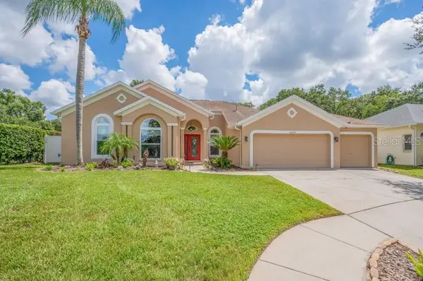 1001 Split Silk Street, VALRICO, FL 33594