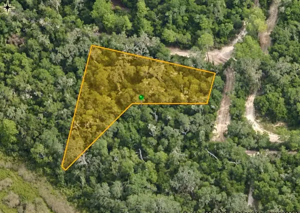 10136 E Tuliptree Drive, INVERNESS, FL 34450