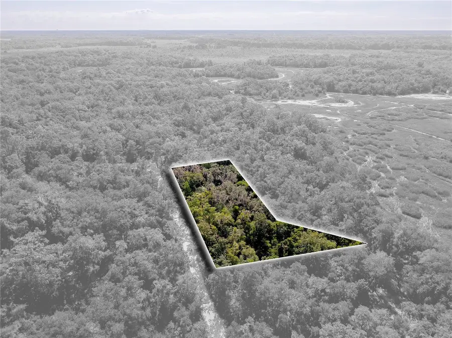 10136 E Tuliptree Drive, Inverness, FL 34450 - #3