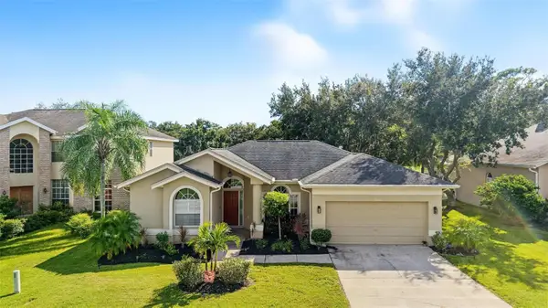 4914 Augusta Avenue, OLDSMAR, FL 34677