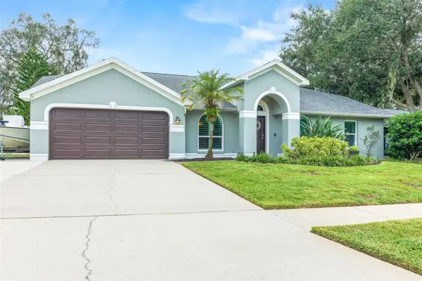 12417 Windswept Avenue, RIVERVIEW, FL 33569