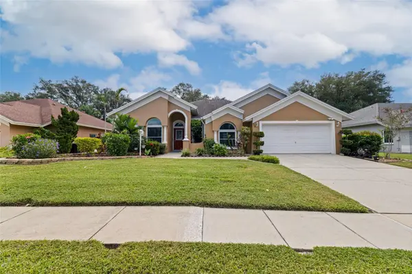 903 Whippoorwill Drive, PALM HARBOR, FL 34683