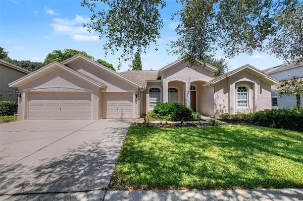 19205 Autumn Woods Avenue, TAMPA, FL 33647