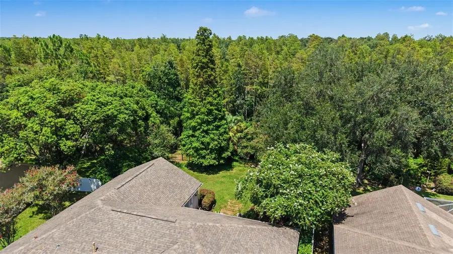 19205 Autumn Woods Avenue, Tampa, FL 33647 - #2