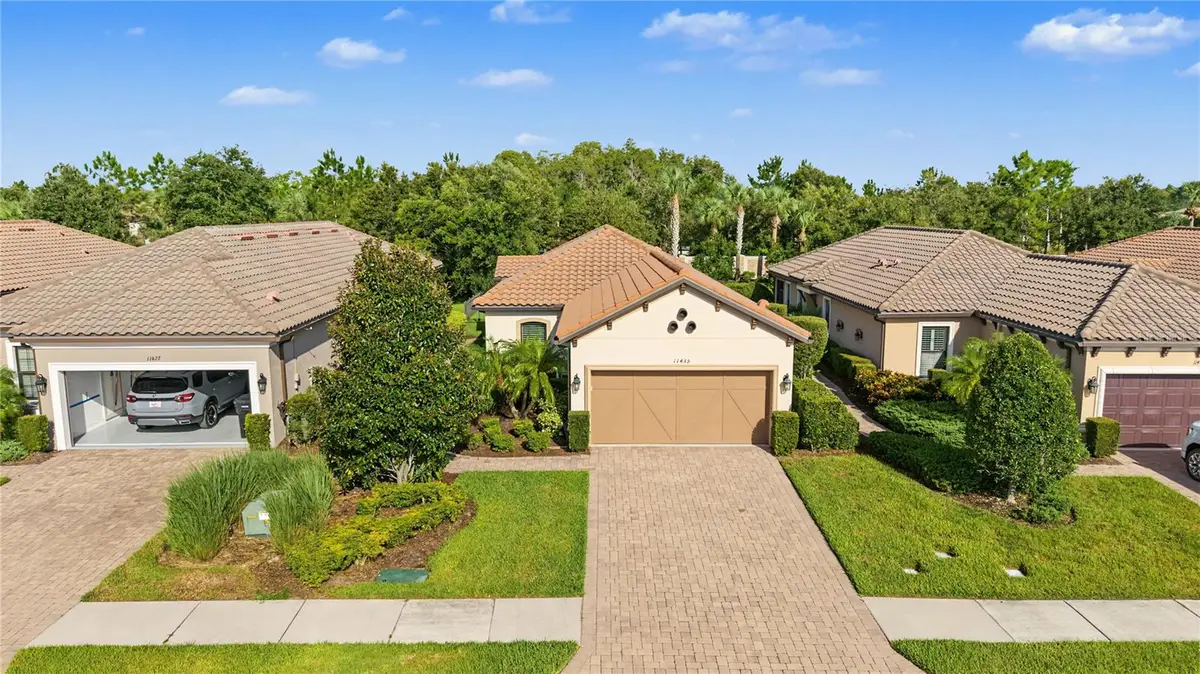 11435 Callisia Drive, Odessa, FL 33556 - #1