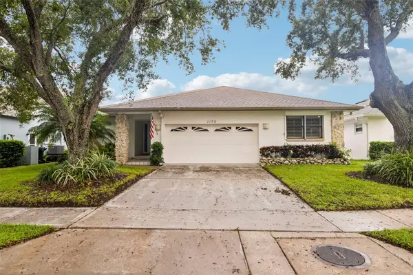 1175 San Carlos Avenue Ne, ST PETERSBURG, FL 33702