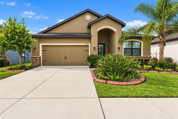 12511 Ballentrae Forest Drive, RIVERVIEW, FL 33579