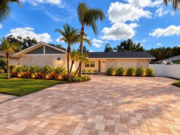 4116 Summerdale Drive, TAMPA, FL 33624
