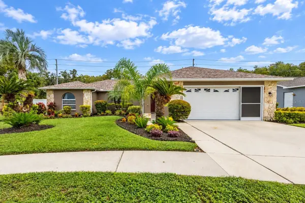 9713 Lomalinda Court, NEW PORT RICHEY, FL 34655