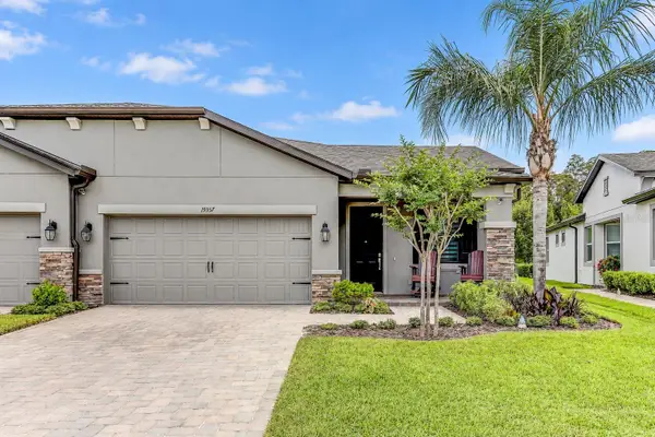 19357 Hawk Valley Drive, TAMPA, FL 33647