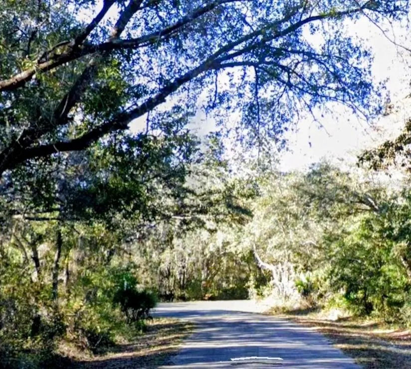 LOT 15 Fisher Ln Way, Ocklawaha, FL 32179 - #3