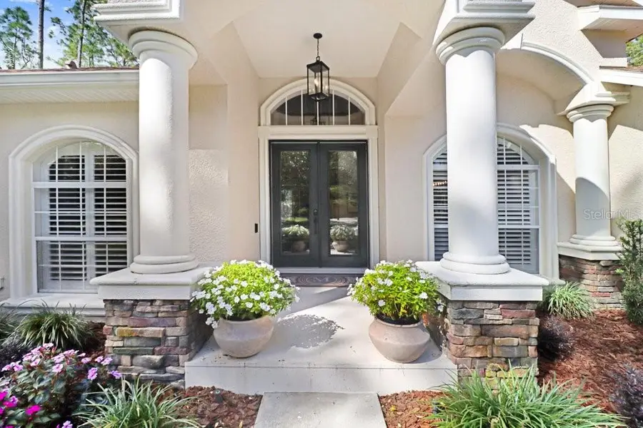 428 Pine Bluff Drive, Lutz, FL 33549 - #2