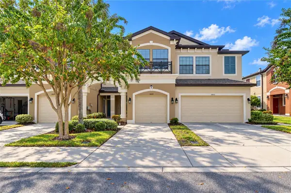 11650 Crowned Sparrow Lane, TAMPA, FL 33626